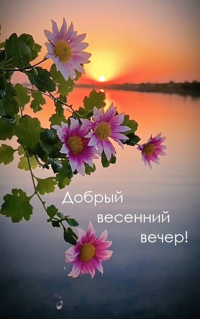 Добрый весенний вечер!