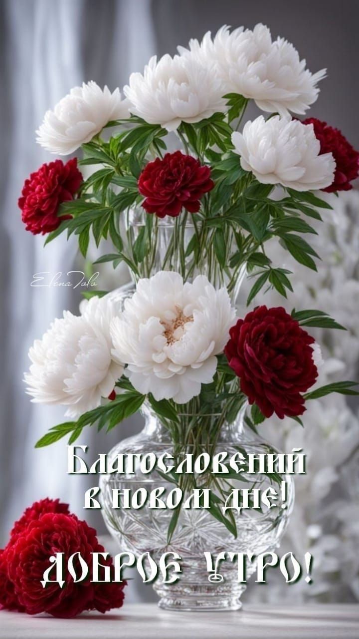 Благословенный в новом дне! ДОБРОЕ УТРО!