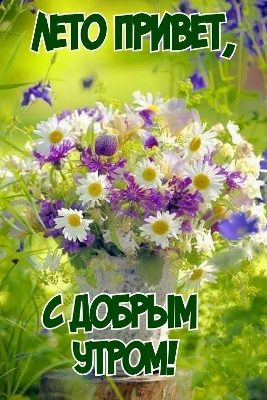 ЛЕТО ПРИВЕТ, С ДОБРЫМ УТРОМ!