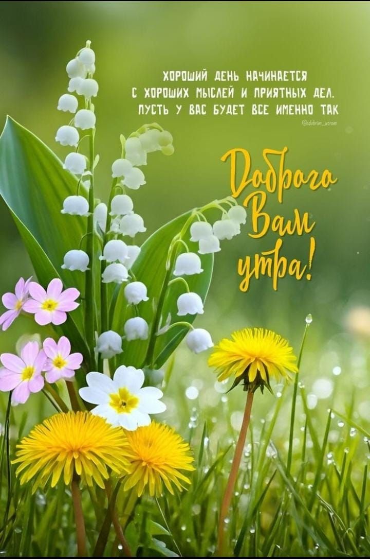 Хороший день начинается с хороших мыслей и приятных дел. Пусть у вас будет все именно так.
Добро/go вам утра!