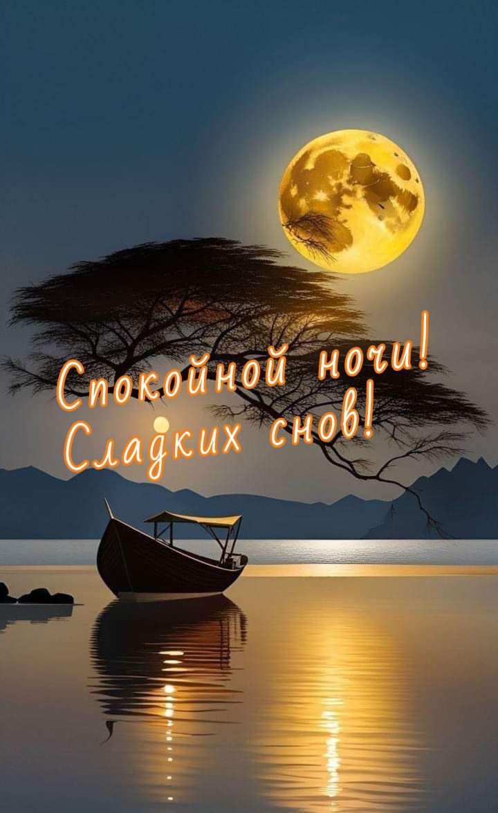 Спокойной ночи! Сладких снов!