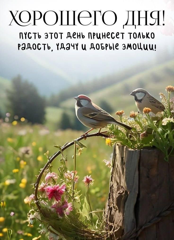 Хорошего дня! Пусть этот день принесет только радость, удачу и добрые эмоции!