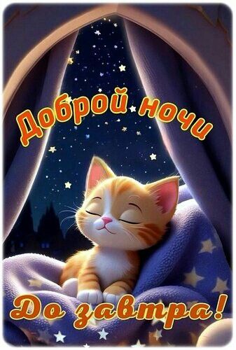 Доброй ночи! До завтра!