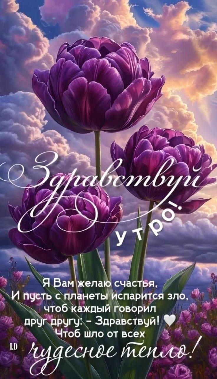 Здравствуйте! Утро! Я Вам желаю счастья, И пусть с планеты испарится зло, чтоб каждый говорил друг другу.- Здравствуйте! ❤️ Чтоб что от всех чудесное тепло!