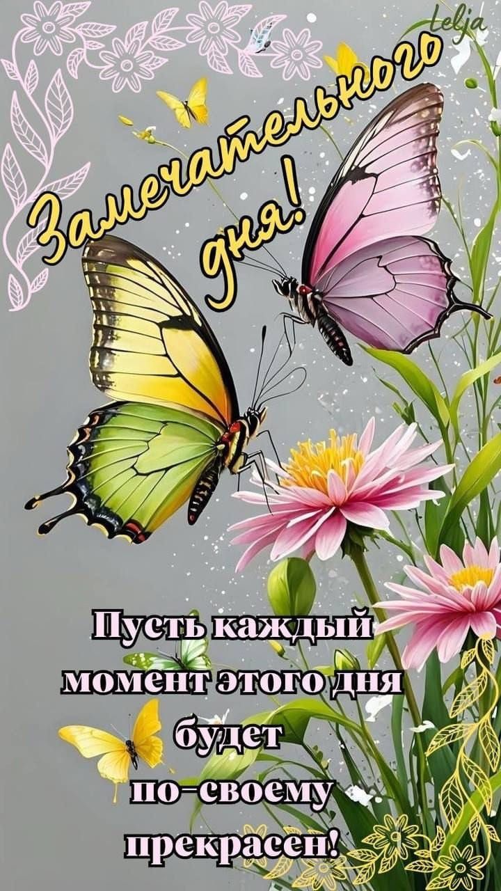 Замечательного дня!
Пусть каждый момент этого дня будет по-своему прекрасен!