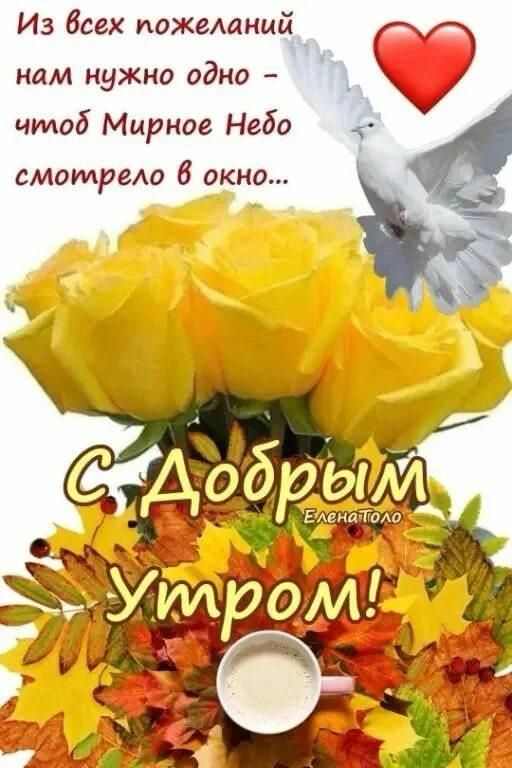 Из всех пожеланий нам нужно одно - чтоб Мирное Небо смотрело в окно...
С Добрым Утром!
ЕленаПоло