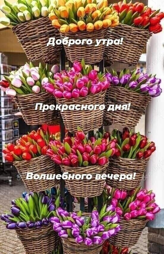 Доброе утро! Прекрасного дня! Волшебного вечера!