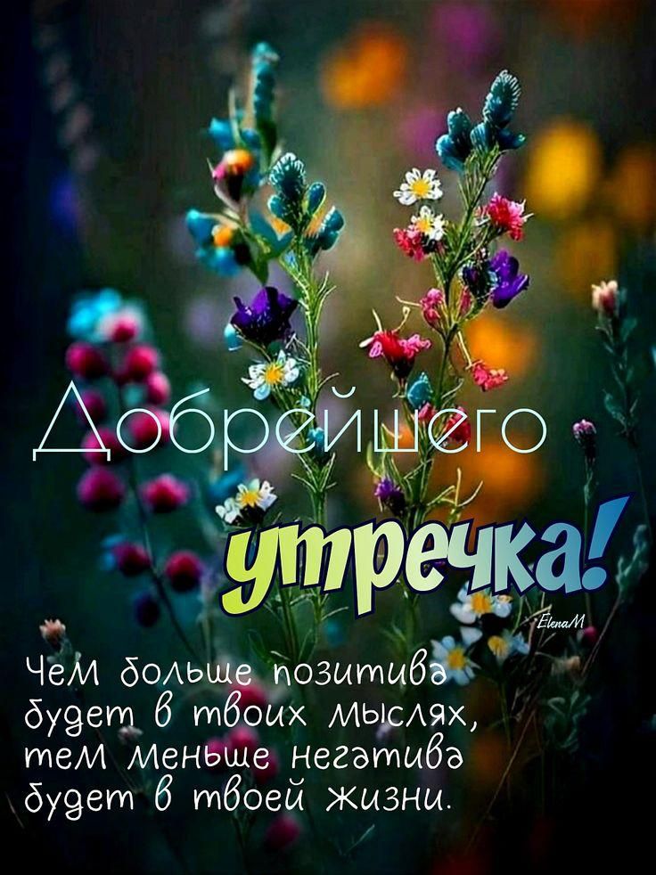 Добрейшего утречка! Чем больше позитива будет в твоих мыслях, тем меньше негатива будет в твоей жизни.