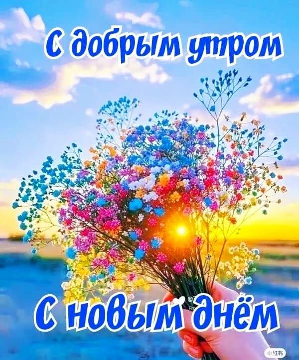 С добрым утром
С новым днём