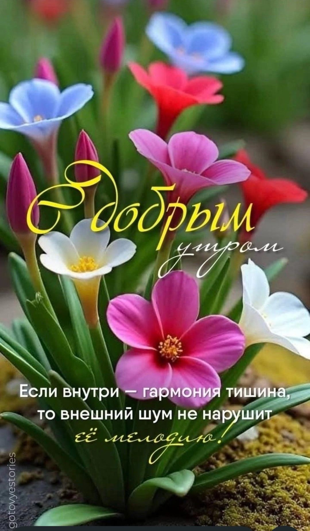 С добрым утром
Если внутри – гармония тишина,
то внешний шум не нарушит её мелодию!