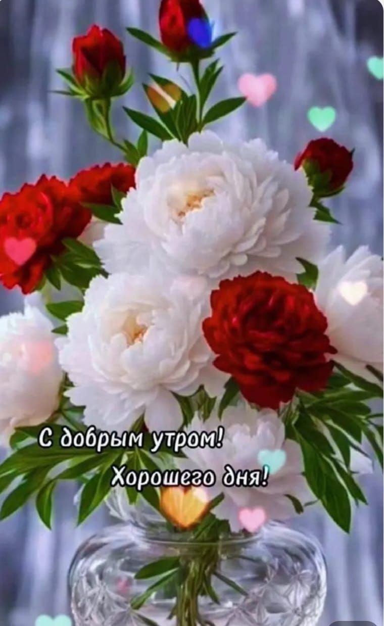 С добрым утром! Хорошего дня!