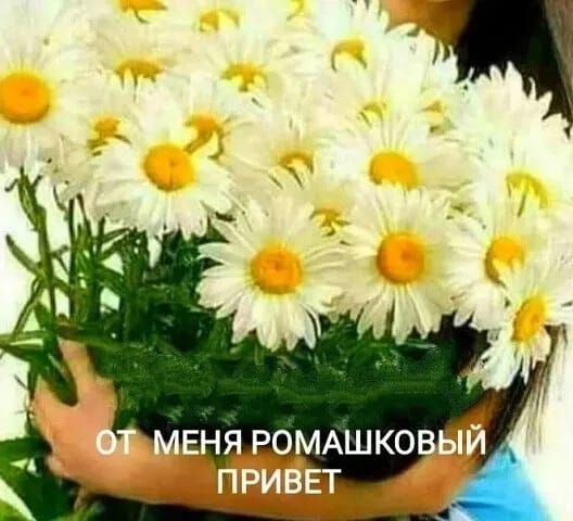 ОТ МЕНЯ РОМашКОВЫЙ ПРИВЕТ