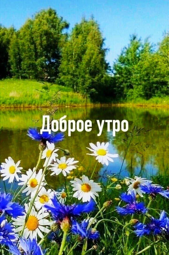 Доброе утро