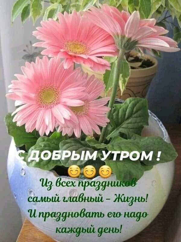 С ДОБРЫМ УТРОМ ! Из всех праздников самый главный - Жизнь! И праздновать его надо каждый день!