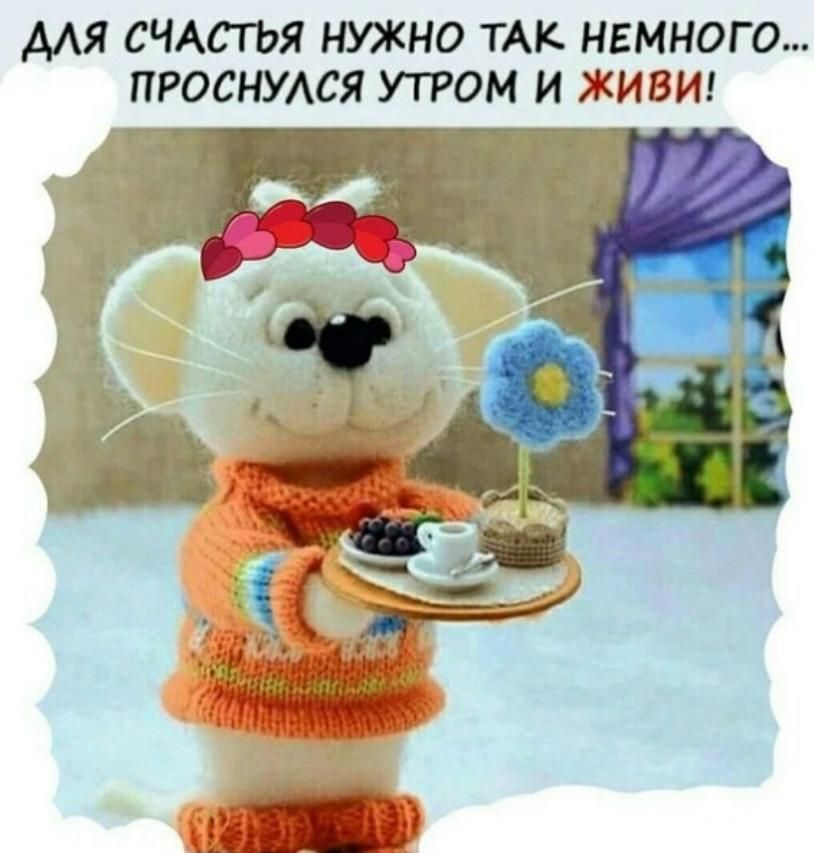 ДЛЯ СЧАСТЬЯ НУЖНО ТАК НЕМНОГО... ПРОСНУЛСЯ УТРОМ И ЖИВИ!