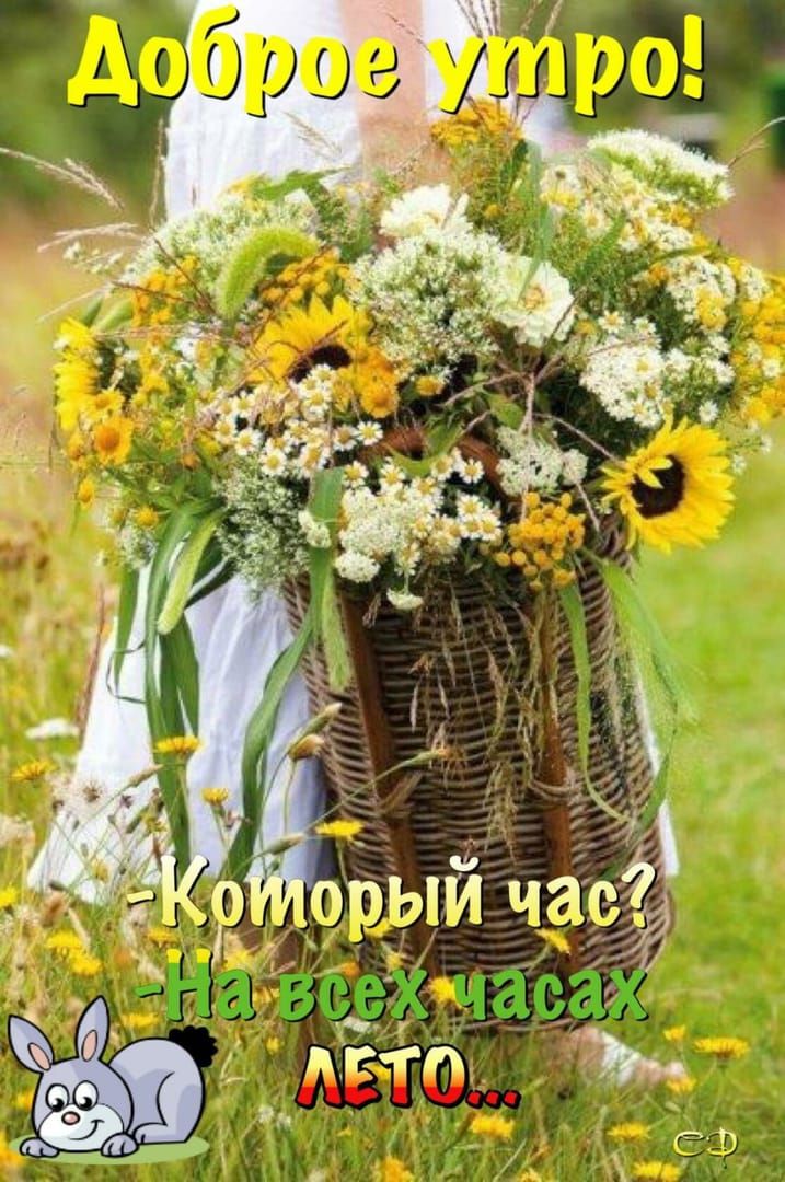 Доброе утро! -Который час? -на всех часах ЛЕТО...