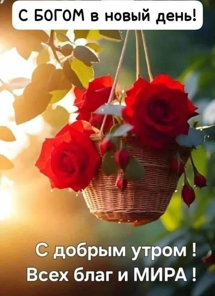 С БОГОМ в новый день! С добрым утром ! Всех благ и МИРА !