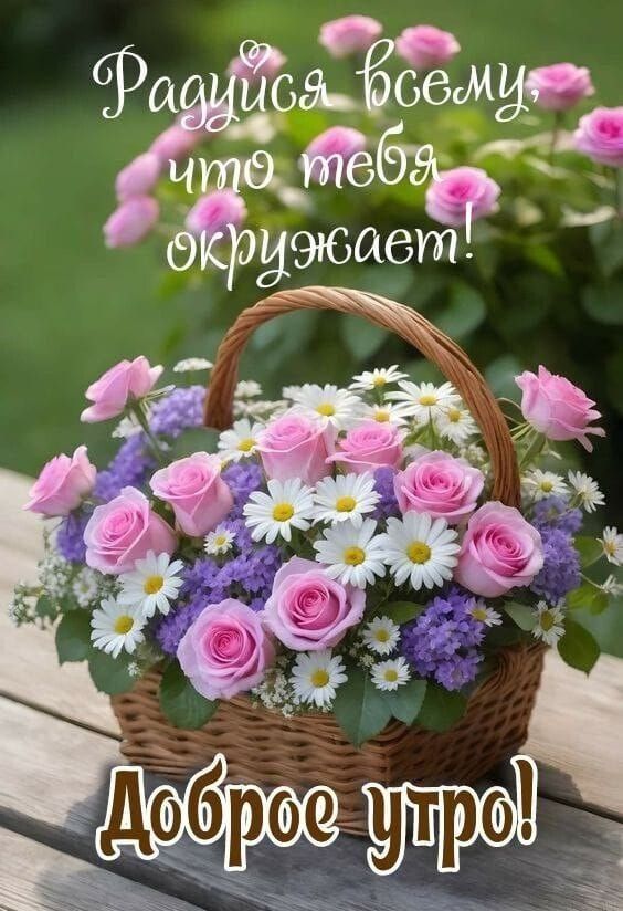 Радуйся всему, что тебя окружает! Доброе утро!