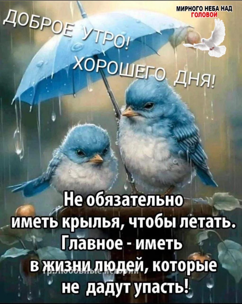 ДОБРОЕ УТРО! ХОРОШЕГО ДНЯ! Не обязательно иметь крылья, чтобы летать. Главное - иметь в жизни людей, которые не дадут упасть!
