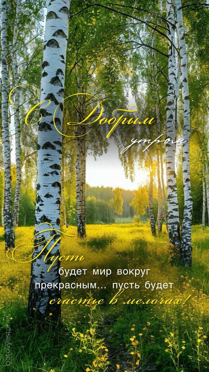С Добрым утром! Пусть будет мир вокруг прекрасным... пусть будет счастье в мелочах!