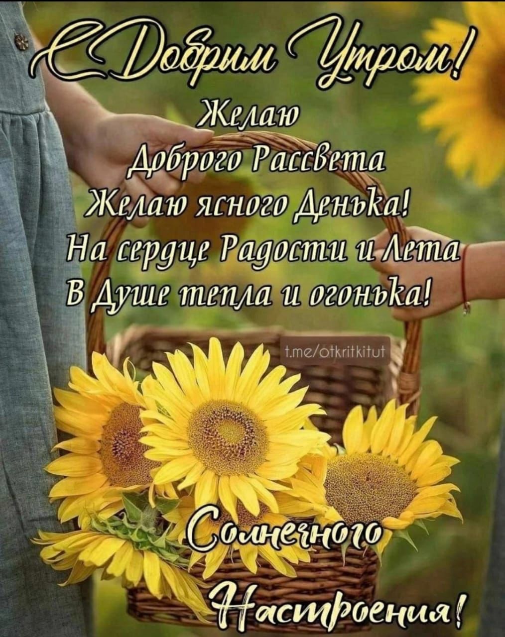Добрым утром! Желаю Доброго Рассвета Желаю ясного Дня! На сердце Радости и Лета В Душе тепла и огонька! Солнечного Настроения!