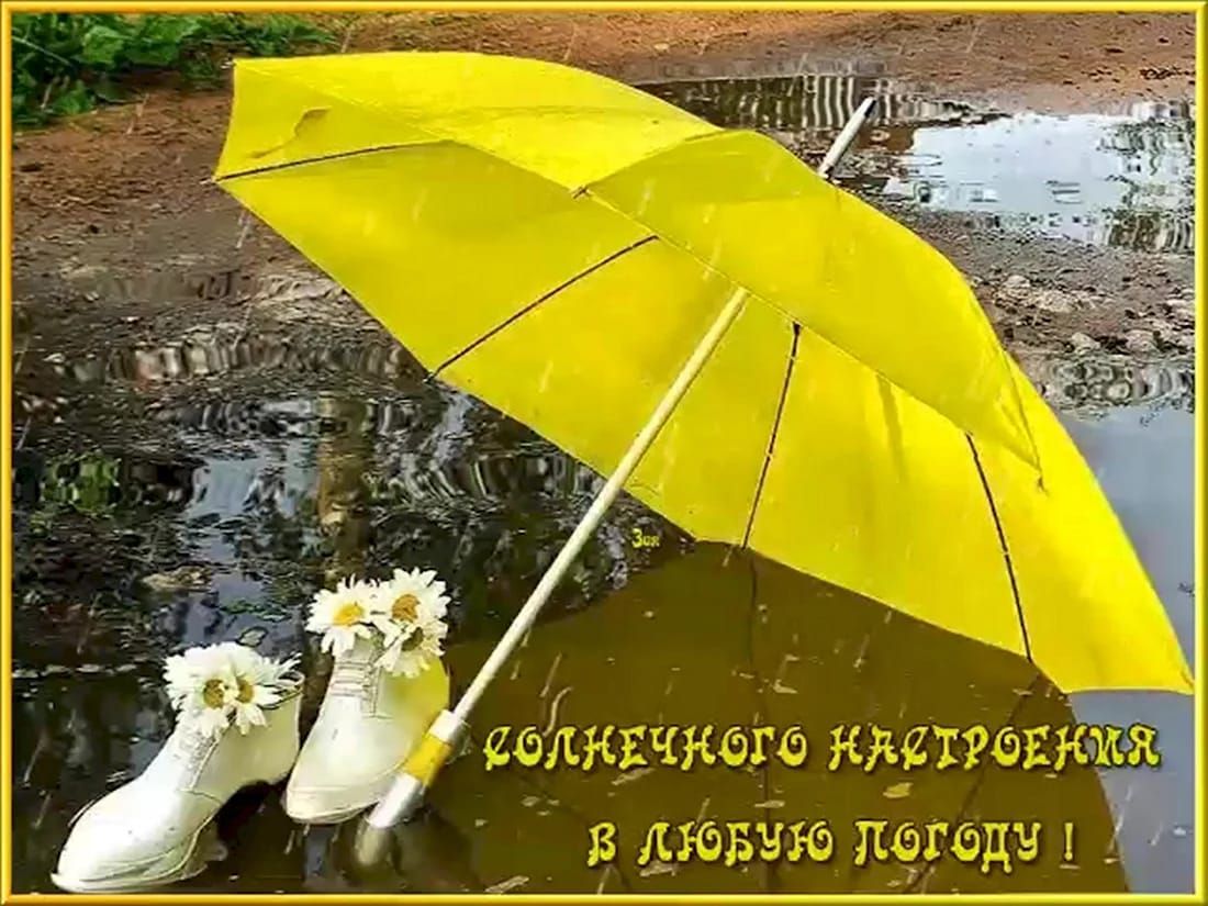 Солнечного настроения в любую погоду!
