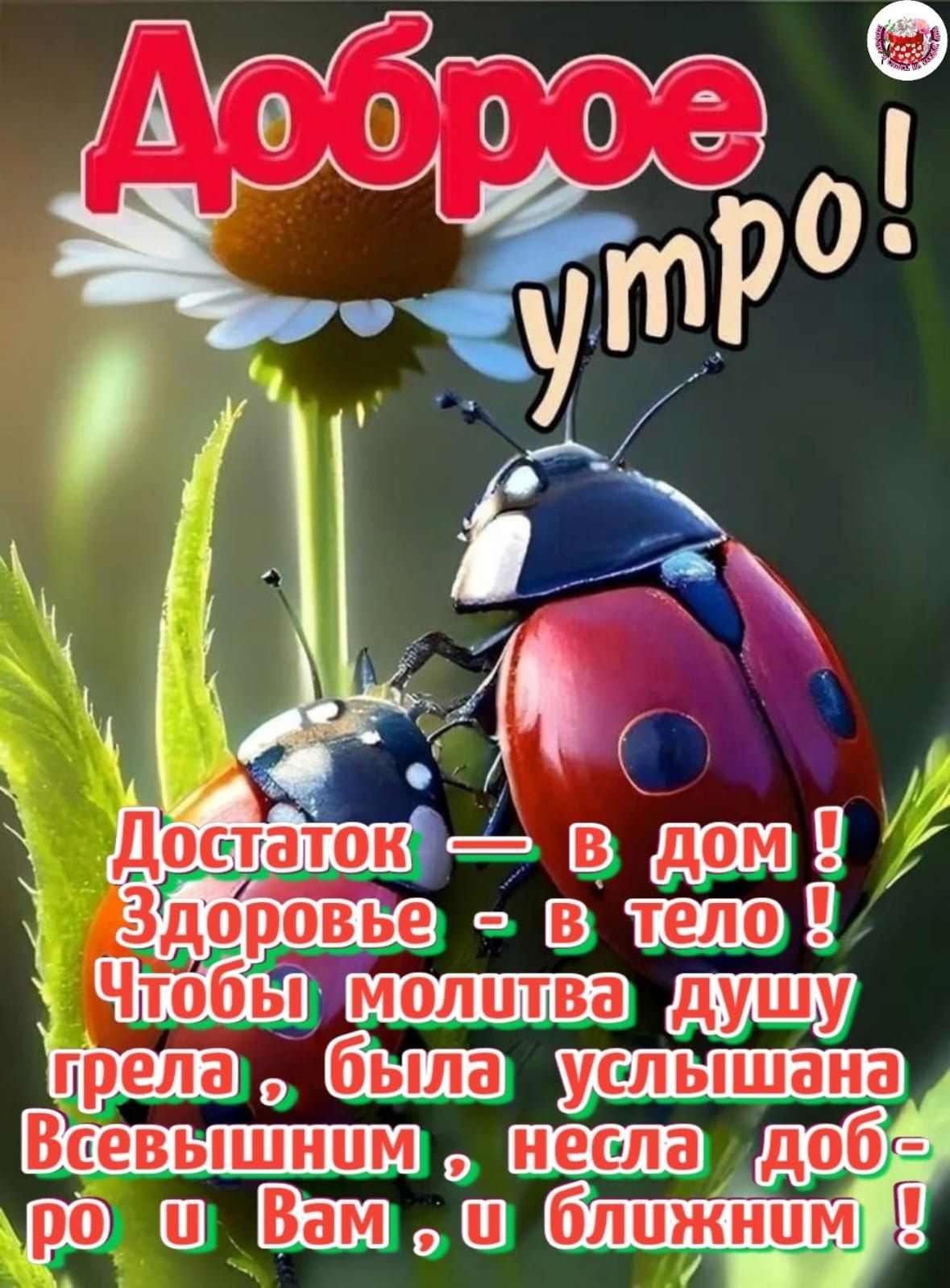 Доброе утро!
Достаток — в дом! Здоровье - в тело! Чтобы молитва душу грела, была услышана Всевышним, несла добро и Вам, и ближним!
