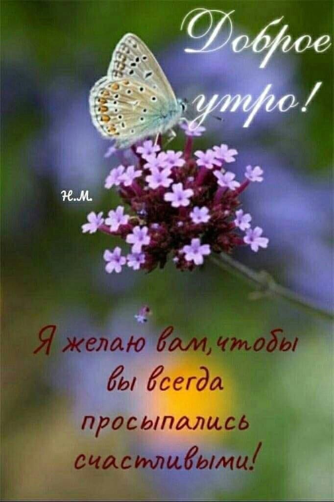 Доброе утро!
Я желаю вам, чтобы вы всегда просыпались счастливыми!