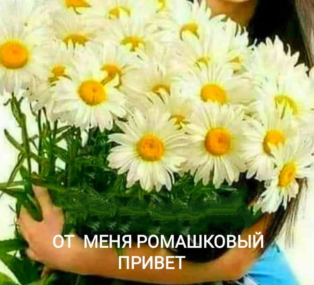 ОТ МЕНЯ РОМашковый ПРИВЕТ
