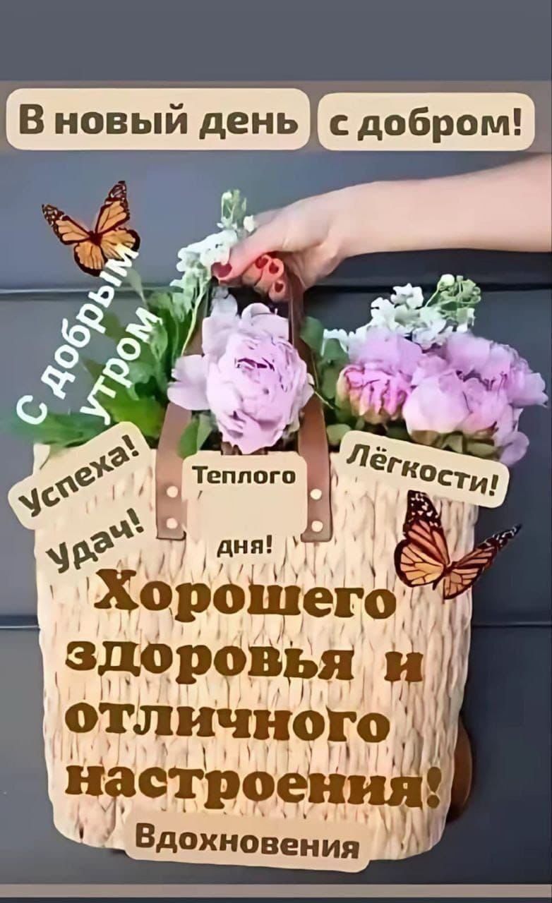 В новый день с добром! С добрым утром Успеха! Удач! Теплого дня! Хорошего здоровья и отличного настроения! Вдохновения