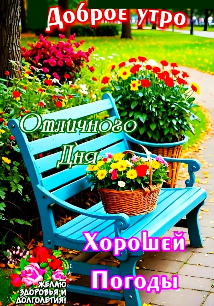 Доброе утро. Отличного Дня. Хорошей Погоды. Желаю здоровья и долголетия!