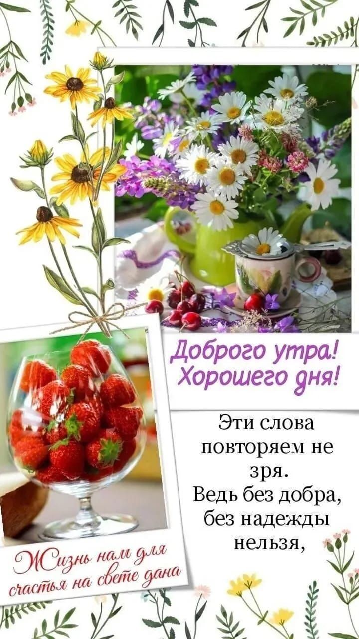 Доброе утро! Хорошего дня! Эти слова повторяем не зря. Ведь без добра, без надежды нельзя, Жизнь нам для счастья на свете дана.