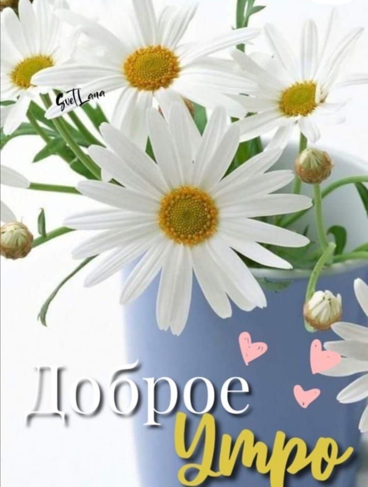 Доброе Утро