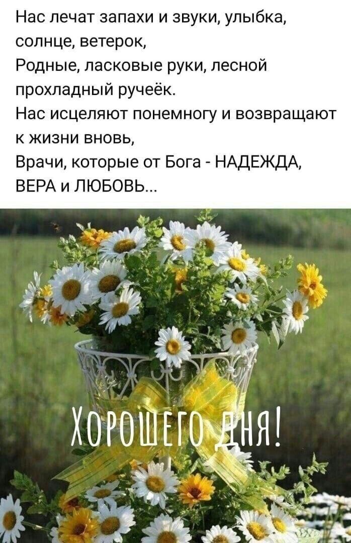 Нас лечат запахи и звуки, улыбка,
солнце, ветерок,
Родные, ласковые руки, лесной
прохладный ручей.
Нас исцеляют понемногу и возвращают
к жизни вновь,
Врачи, которые от Бога - НАДЕЖДА,
ВЕРА и ЛЮБОВЬ...

Хорошего дня!