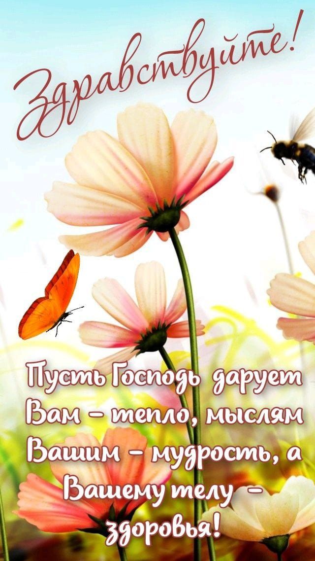 Здравствуйте! Пусть Господь дарует Вам - тепло, мыслям Вашим - мудрость, а Вашему телу - здоровья!