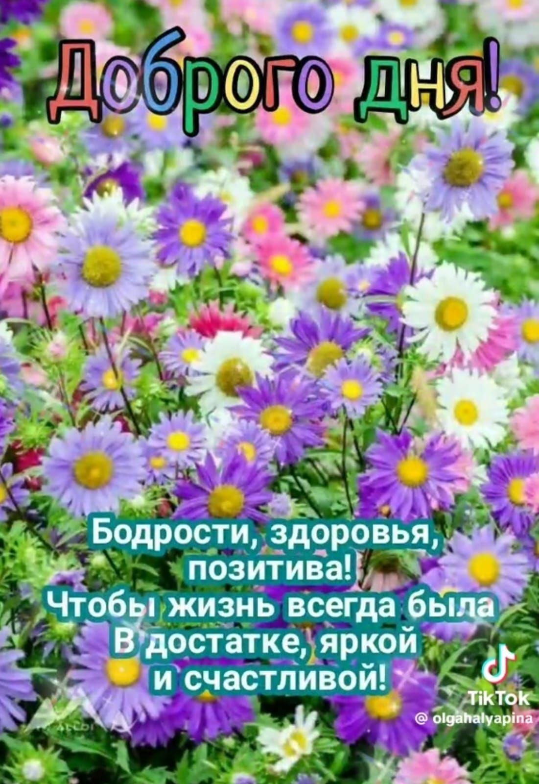 Доброго дня!

Бодрости, здоровья, позитива!
Чтобы жизнь всегда была в достатке, яркой и счастливой!