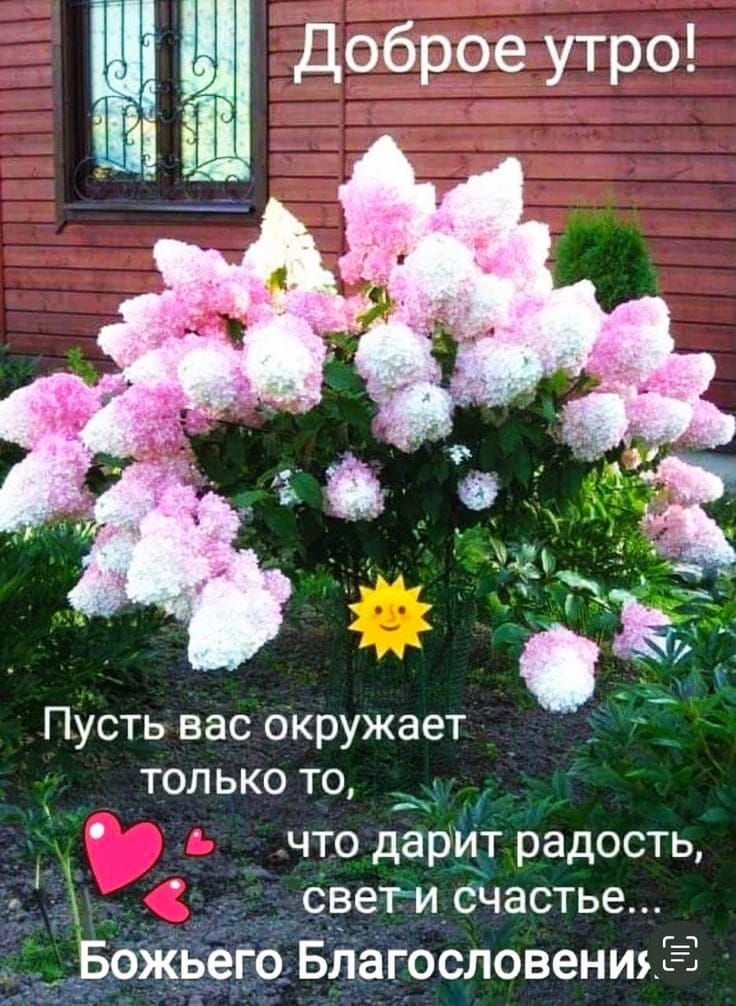 Доброе утро!
Пусть вас окружает только то, что дарит радость, свет и счастье...
Божьего Благословения