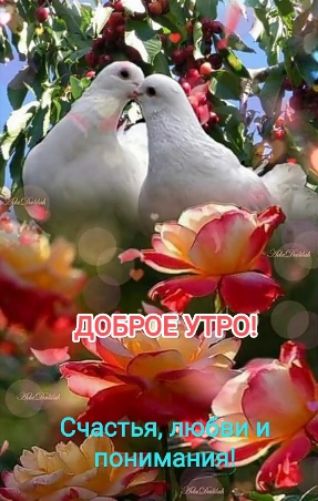 ДОБРОЕ УТРО! Счастья, любви и понимания!