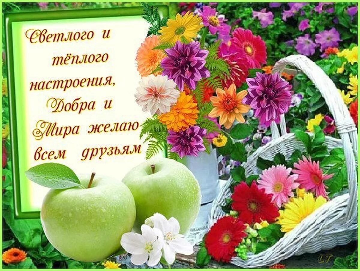 Светлого и тёплого настроения, Добра и Мира желаю всем друзьям