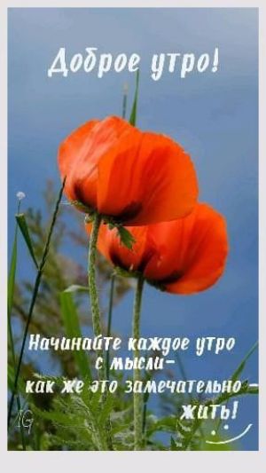 Доброе утро!
Начинайте каждое утро с мысли–как же это замечательно–жить!