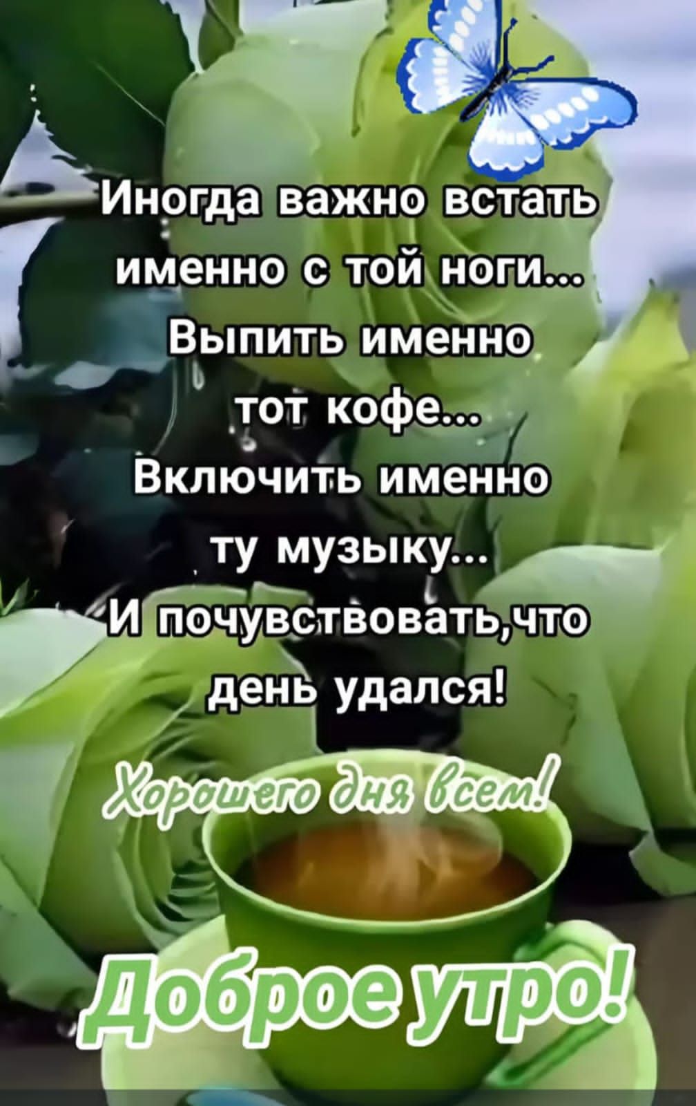 Иногда важно встать именно с той ноги... Выпить именно тот кофе... Включить именно ту музыку... И почувствовать, что день удался!
Хорошего дня всем!
Доброе утро!