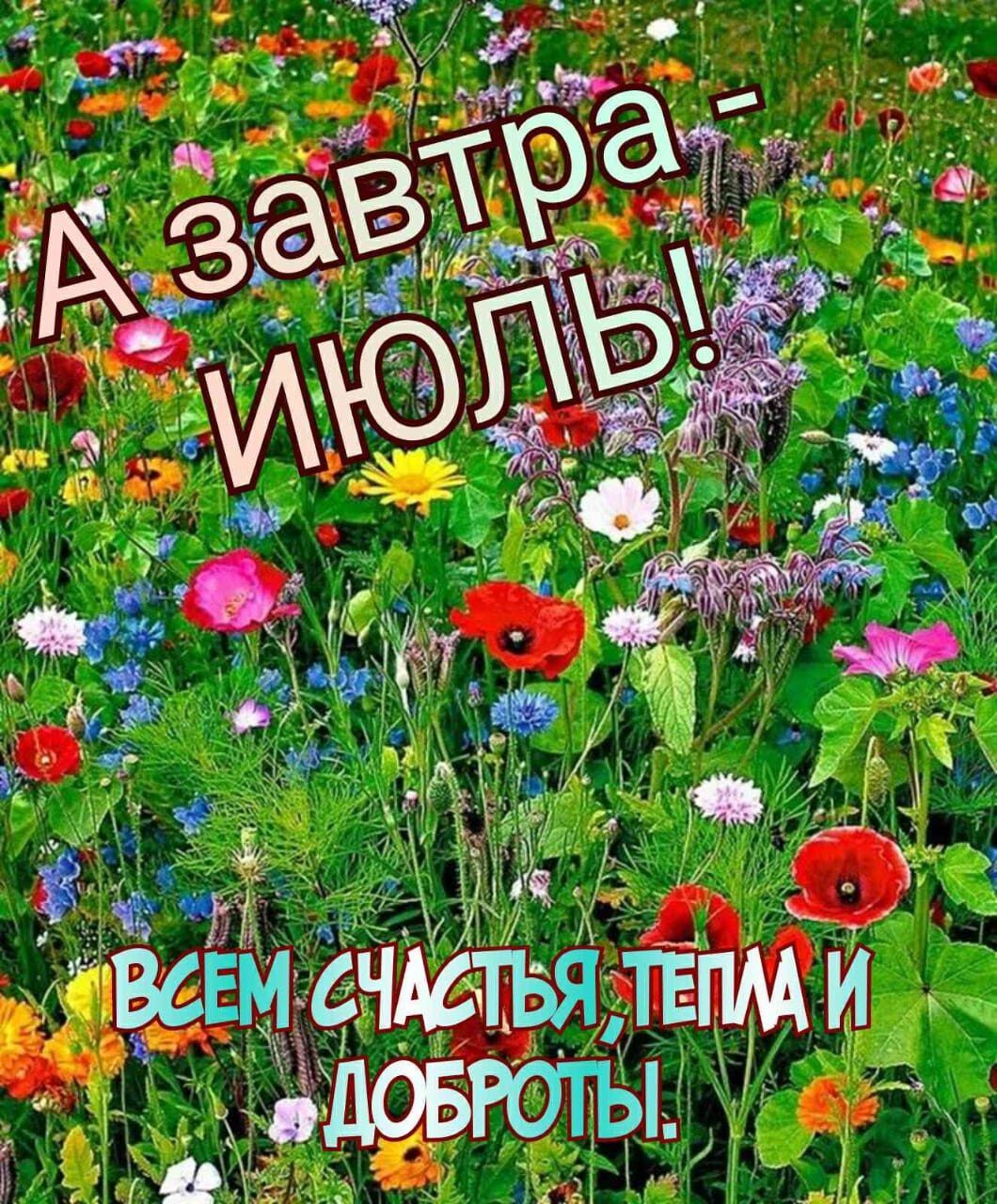 А завтра - ИЮЛЬ! ВСЕМ СЧАСТЬЯ, ТЕПЛА И ДОБРОТЫ.