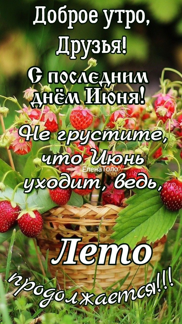 Доброе утро, Друзья! С последним днём Июня! Не грустите, что Июнь уходит, ведь, Лето продолжается!!!