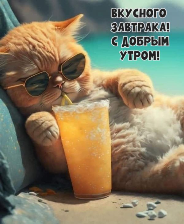 ВКУСНОГО ЗАВТРАКА! С ДОБРЫМ УТРОМ!