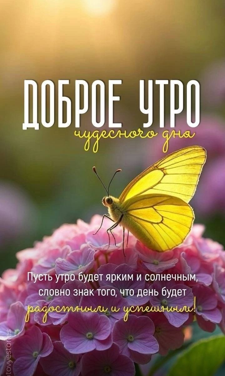 ДОБРОЕ УТРО чудесного дня
Пусть утро будет ярким и солнечным, словно знак того, что день будет радостным и успешным!