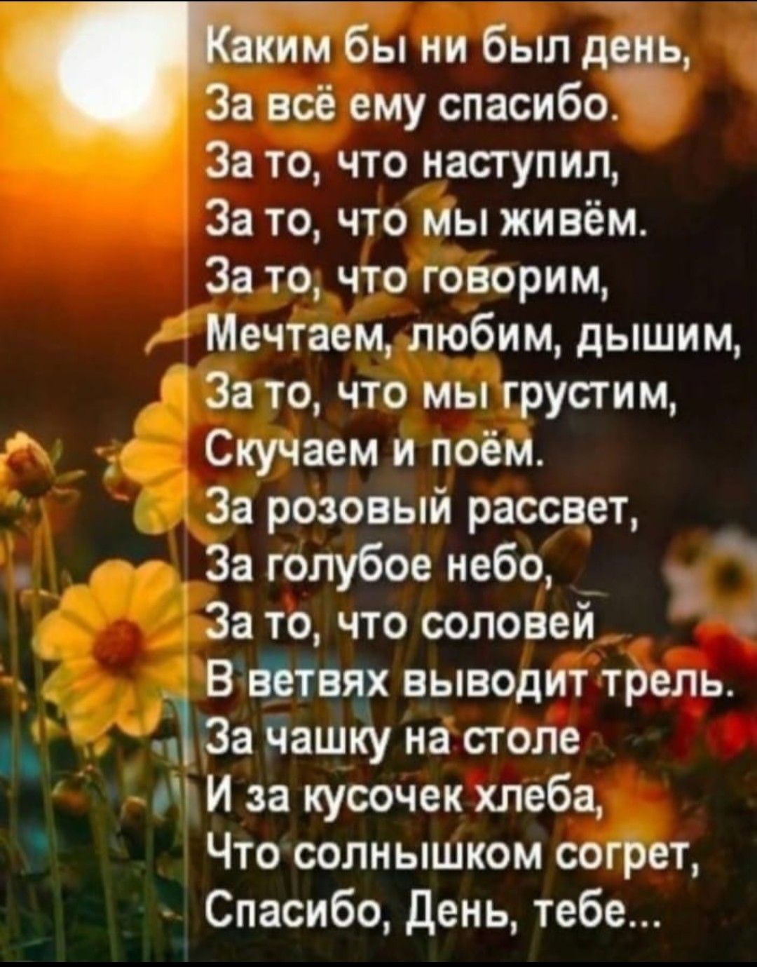Каким бы ни был день,
За всё ему спасибо.
За то, что наступил,
За то, что мы живём.
За то, что говорим,
Мечтаем, любим, дышим,
За то, что мы грустим,
Скучаем и поём.
За розовый рассвет,
За голубое небо,
За то, что соловей
В ветвях выводит трель.
За чашку на столе
И за кусочек хлеба,
Что солнышком согрет,
Спасибо, День, тебе...