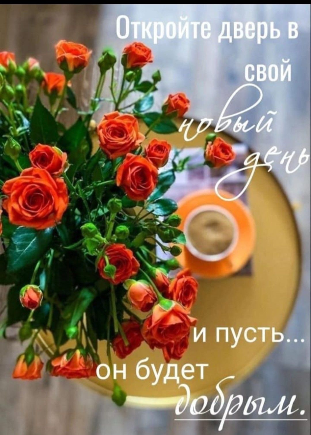 Откройте двери в свой новый день и пусть... он будет добрым.