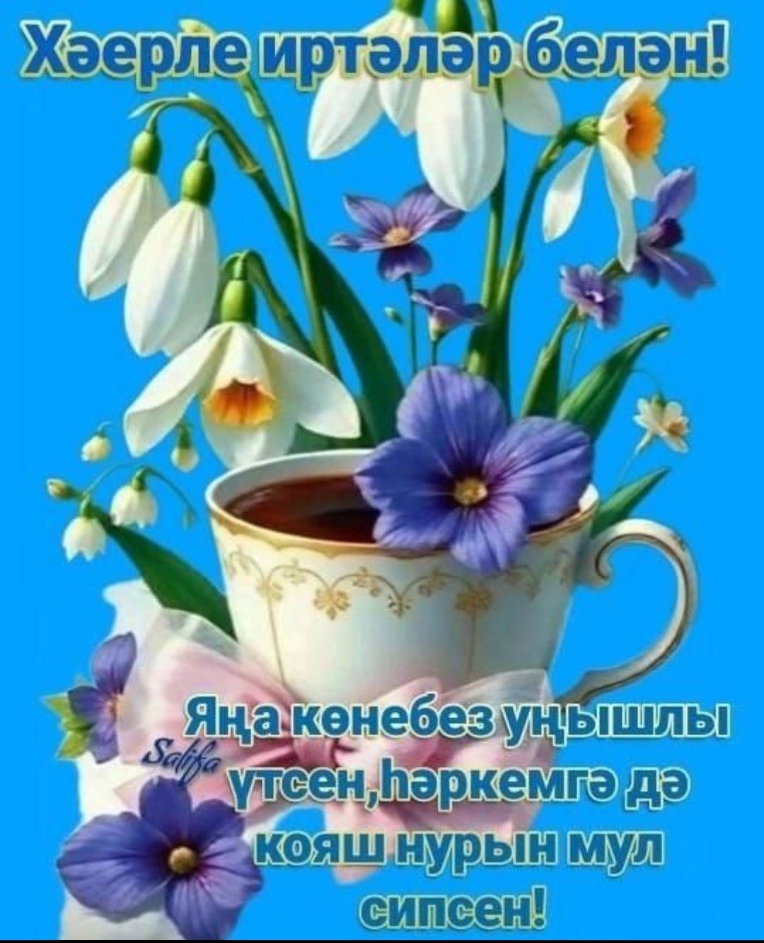 Хәерле иртәләр белән! Яңа көнебез уңышлы үтсен, һәркемгә дә кояш нуры белән сипсен!