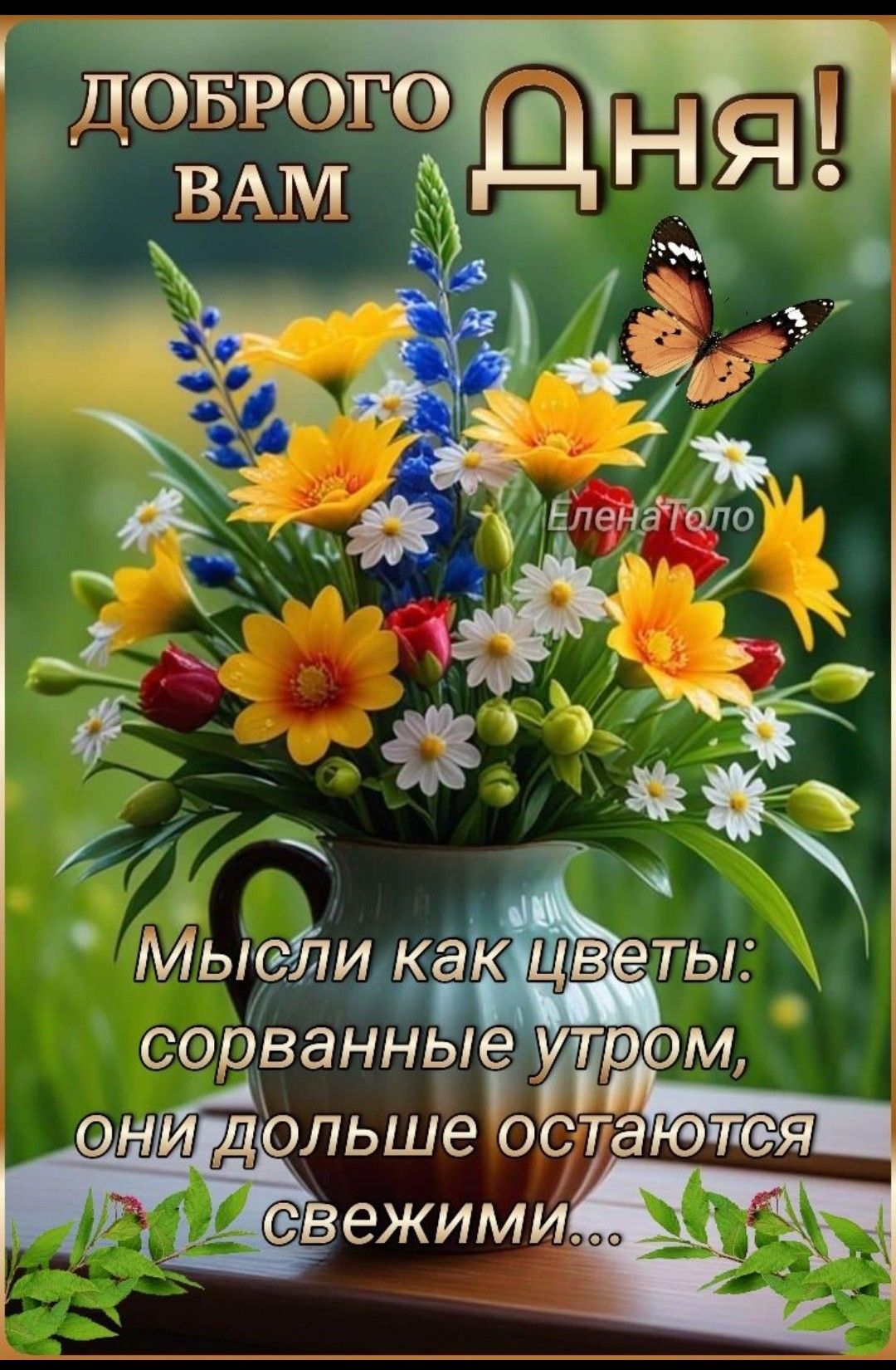 ДОБРОГО ВАМ Дня! Мысли как цветы: сорванные утром, они дольше остаются свежими...