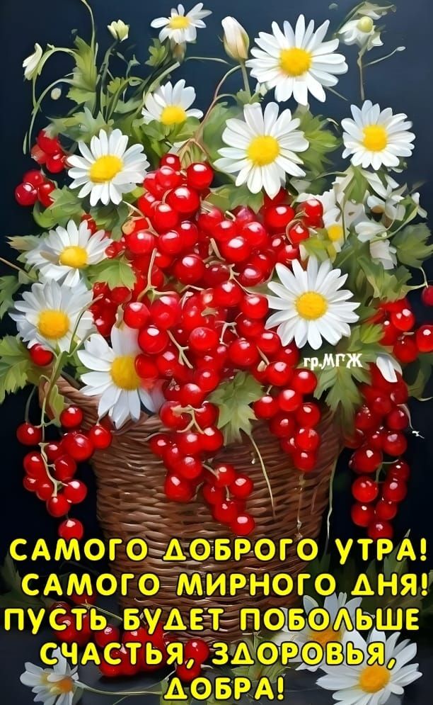 САМОГО ДОБРОГО УТРА! САМОГО МИРНОГО ДНЯ! ПУСТЬ БУДЕТ ПОБОЛЬШЕ СЧАСТЬЯ, ЗДОРОВЬЯ, ДОБРА!